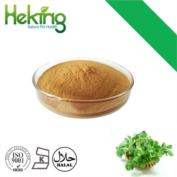 Екстракт портулаку