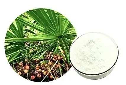 Saw Palmetto Extract factory